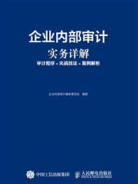 《企业内部审计实务详解:审计程序+实战技法+案例解析》-企业内部审计编审委员会