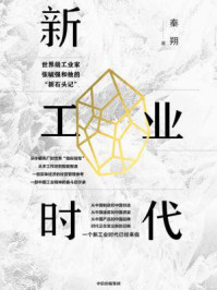 《新工业时代:世界级工业家张毓强和他的“新石头记”》-秦朔