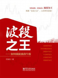 《波段之王:如何捕捉波段牛股》-何瑞东