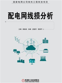《配电网线损分析》-郝建成
