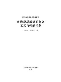 《矿渣微晶玻璃的制备工艺与性能控制》-史培阳
