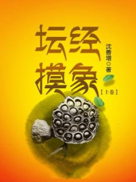 《坛经摸象（上卷）》-沈善增