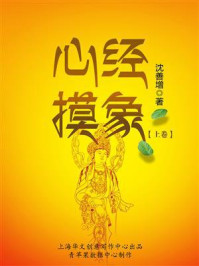 《心经摸象(上卷)》-沈善增