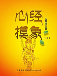 《心经摸象(下卷)》-沈善增