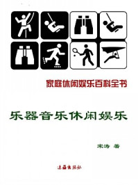 《乐器音乐类休闲娱乐》-宋涛