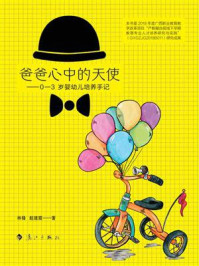 《爸爸心中的天使:0-3岁婴幼儿培养手记》-林锋