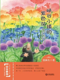 《峡谷小镇的紫色花(中华原创幻想儿童文学大系)》-张秋生