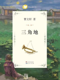 《曹文轩文集:三角地》-曹文轩
