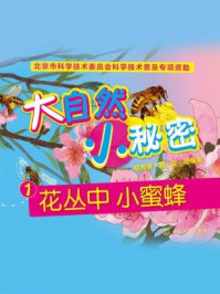 《大自然 小秘密1:花丛中 小蜜蜂》-胡秀峰
