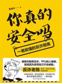 《你真的安全吗:一看就懂的反诈指南》-陈国平