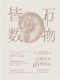 《万物皆数:从史前时期到人工智能,跨越千年的数学之旅》-米卡埃尔·洛奈