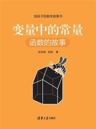 《变量中的常量:函数的故事》-张远南