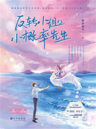 《反转小姐和小概率先生》-莲沐初光