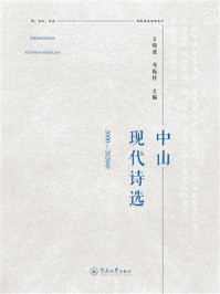 《中山现代诗选:2000—2020》-王晓波