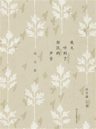 《我又听到了郊区的声音:诗与思》-孙甘露
