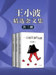 《王小波精选杂文集(共三册)》-王小波