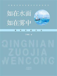 《如在水面,如在雾中》-丁奇高
