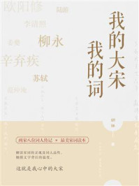 《我的大宋我的词》-胡维