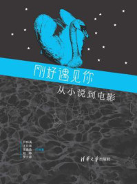 《刚好遇见你:从小说到电影》-尹邦满