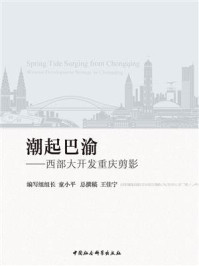 《潮起巴渝:西部大开发重庆剪影》-童小平
