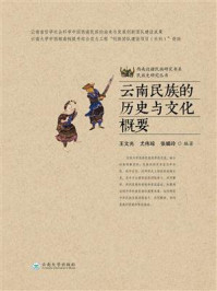 《云南民族的历史与文化概要》-王文光-mobi、epub、azw3、pdf电子书免费下载/宝阳读书小站