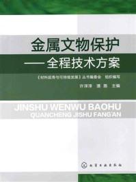《金属文物保护:全程技术方案》-许淳淳