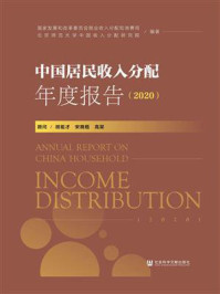 《中国居民收入分配年度报告(2020)》-北京师范大学中国收入分配研究院