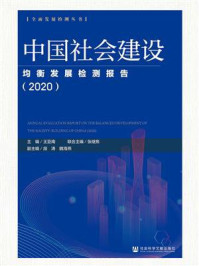 《中国社会建设均衡发展检测报告(2020)(全面发展检测丛书)》-王亚南