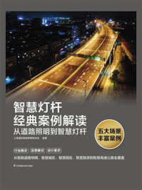 《智慧灯杆经典案例解读:从道路照明到智慧灯杆》-上海浦东智能照明联合会