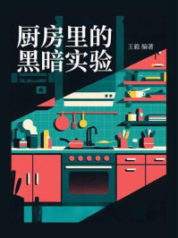 《厨房里的黑暗实验》-王毅-mobi、epub、azw3、pdf电子书免费下载/宝阳读书小站