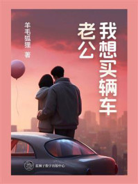 《老公我想买辆车》-羊毛狐狸