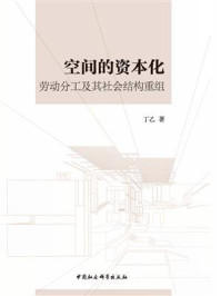 《空间的资本化:劳动分工及其社会结构重组》-丁乙