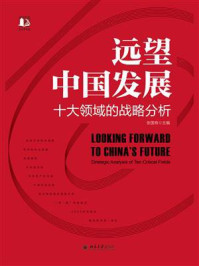 《远望中国发展:十大领域的战略分析》-张国有