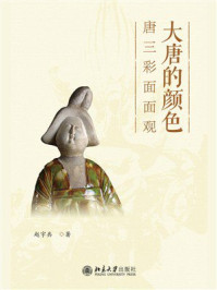 《大唐的颜色:唐三彩面面观》-赵宇共