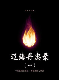 《通俗章回体小说:辽海丹忠录(1)》-陆人龙