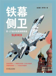 《铁幕侧卫:苏-27战斗机家族群英谱》-赵云鹏