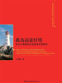 《孤岛还是灯塔:东北大型国企社会资本作用研究》-王文彬