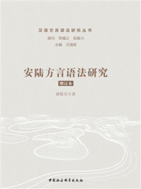 《安陆方言语法研究(增订本)》-盛银花