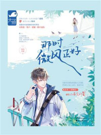 《那时微风正好》-灼灼不停-mobi、epub、azw3、pdf电子书免费下载/宝阳读书小站