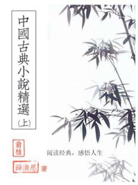 《中国古典小说精选(上)》-翁桂