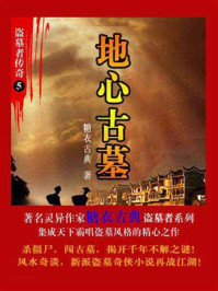 《盗墓者传奇5:地心古墓》-糖衣古典