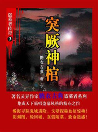 《盗墓者传奇3:突厥神棺》-糖衣古典