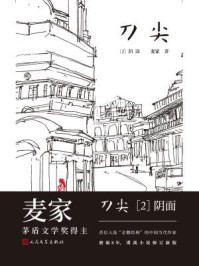 《刀尖2:阴面(张译主演电影《刀尖》原著小说)》-麦家-mobi、epub、azw3、pdf电子书免费下载/宝阳读书小站