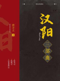 《汉阳三部曲》-唐方立