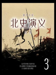 《清代小说:北史演义 3》-杜纲