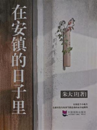《在安镇的日子里》-朱大卫