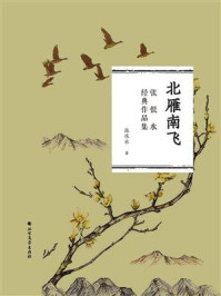《北雁南飞(张恨水经典作品集)》-张恨水