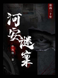 《河安谜案》-李海翔