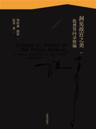 《洞见故宫之美:祝勇答问录续编》-祝勇