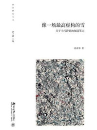 《像一场最高虚构的雪:关于当代诗歌的细读笔记》-洪子诚